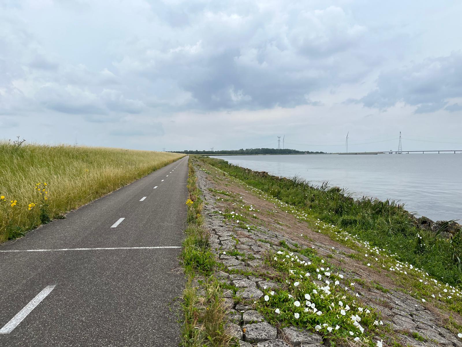 Dijkversterking Ketelmeerdijk verkenningsfase - Projectbeheersing en risicomanagement voor infrastructureel project
